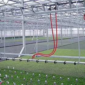 image two
