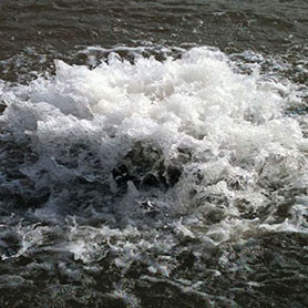 image one