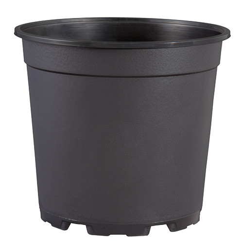 Container Pots