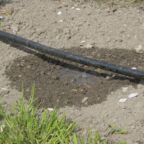 Drip Irrigation
