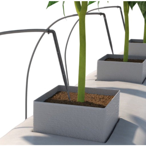 Dripper Stakes