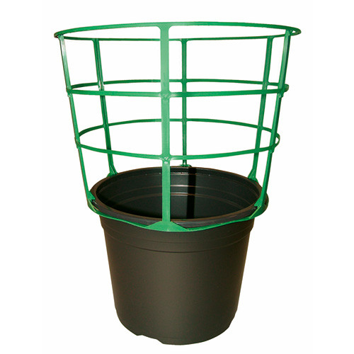 Plant Supports