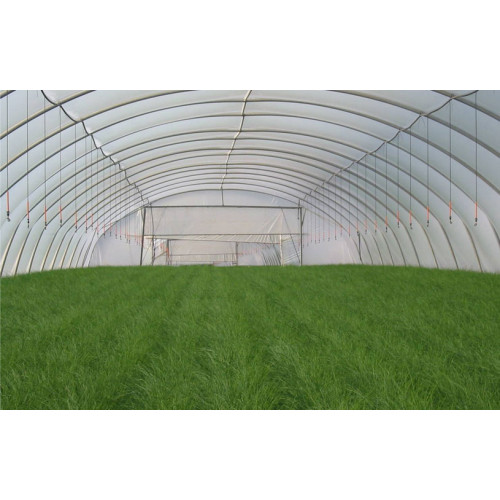 Greenhouse Sprinklers