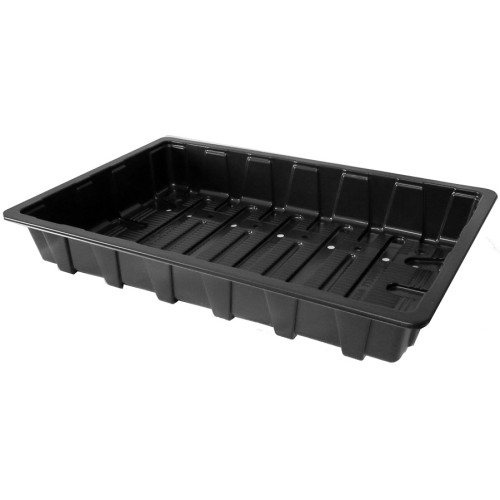 Seed Trays