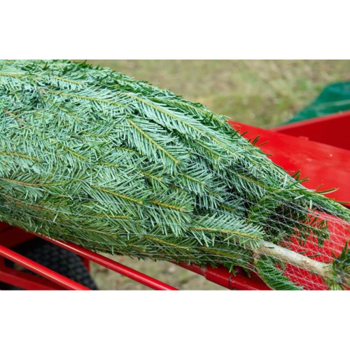 Christmas Tree Netting