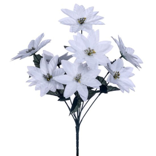Poinsettia Bush (9 heads) (White)