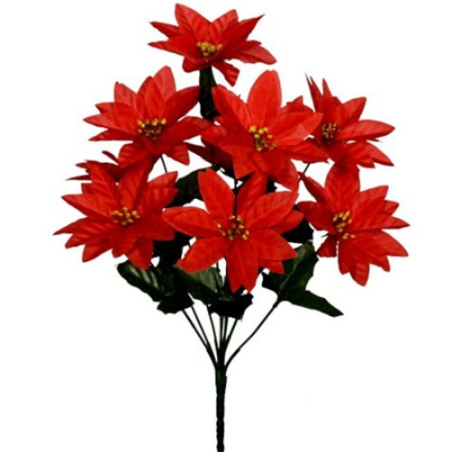 Poinsettia Bush (9 heads) (Red)