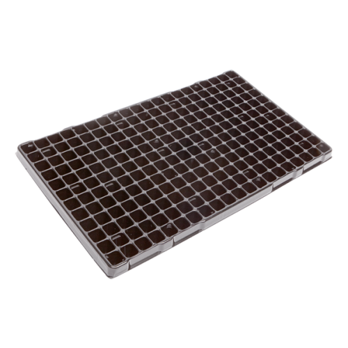 LS Modiform MultiCell Propagation Tray 240 Cells (Black) (2400/P) Each