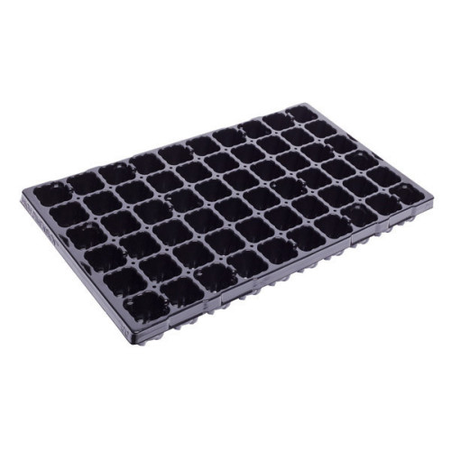 Modiform Paper Plug Tray 60 Cells 3cm Plug (Black) (1680/P) - Each