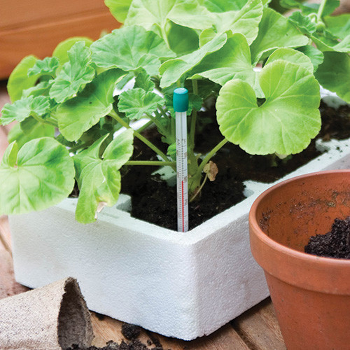 Propagating Thermometer (Propagator)