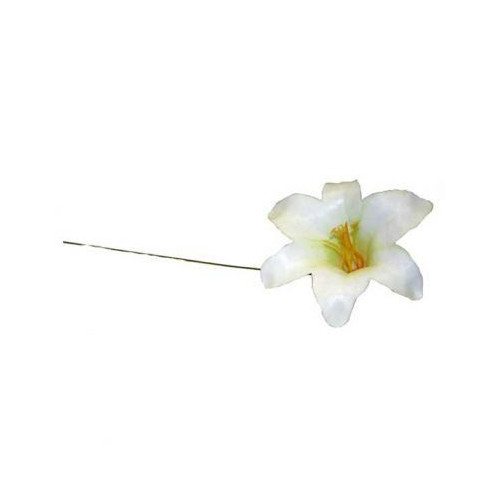 Large Harissi Lily White (Pack of 100)