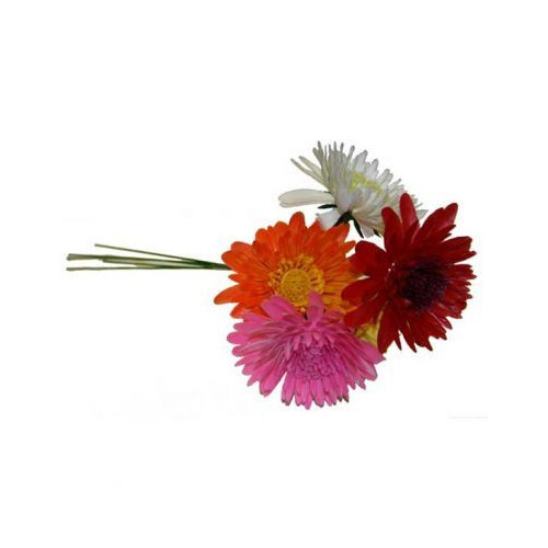 Plastic Assorted Romance Mum (DCP506) (Pack of 100)