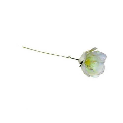 Plastic Old Fashioned Christmas Rose (Light Green) (DCP511) (Pack of 100)