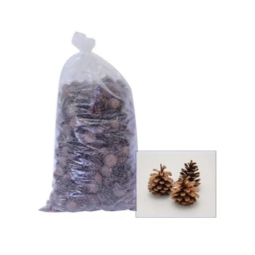 Austriaca Pine Cones [10kg]