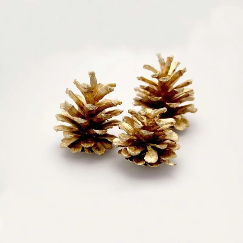 Pine Cones (Gold) [1kg]