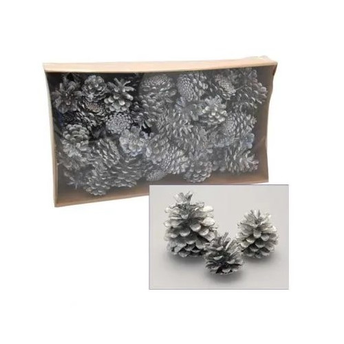 Pine Cones (Silver) [1kg]