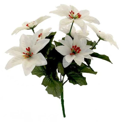White Poinsettia Bush with 7 Heads (24/B) (XM6011) - Each
