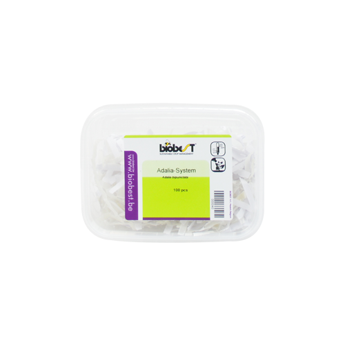 Adalia bipunctata (Adalia-Sys-100) - 280ml tray: 100 larvae / Carrier: Shredded paper