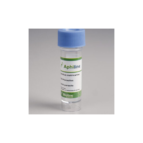 APHILINE M - Vial 30ml - 500 individuals - Aphidius matricariae