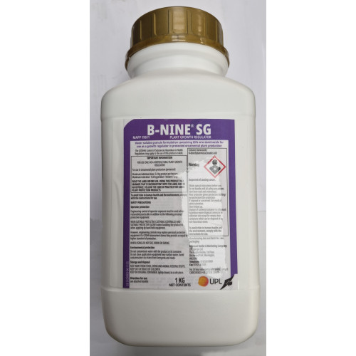 B-Nine SG (MAPP 19611) [1kg]