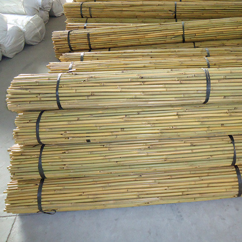Natural Bamboo Canes 6' 22-26lbs [Bale of 250] (Approx. 12-14mm)