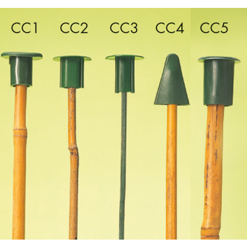 Cane Caps