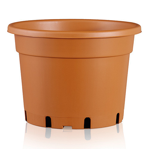 Teku Series MCD Containers