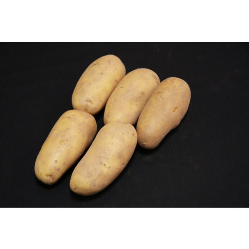 Charlotte Seed Potato 20kg (Second Earlies)