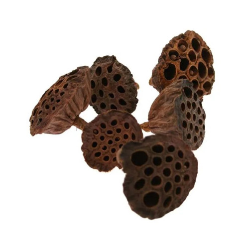 Lotus Heads 4-6cm Small (Bag of 30)