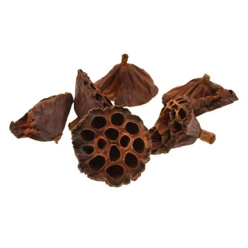 Lotus Heads 6-8cm Medium (Bag of 20)