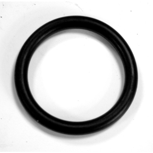Dosatron Inlet/Outlet O Ring (D8R,D30S)