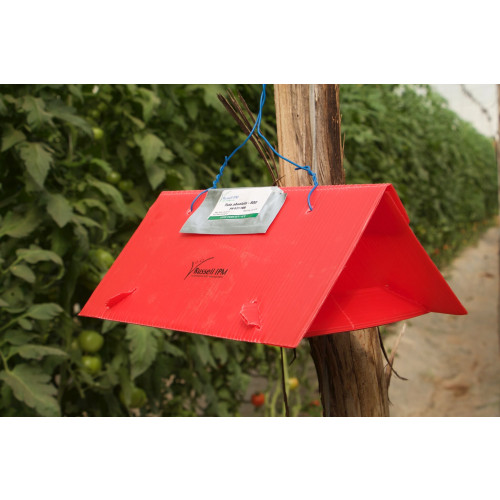 Delta Trap (Sticky liner and hanger)