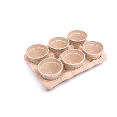 Modiform EcoExpert 6x12cm 8° Transport Tray (912/P) - Each