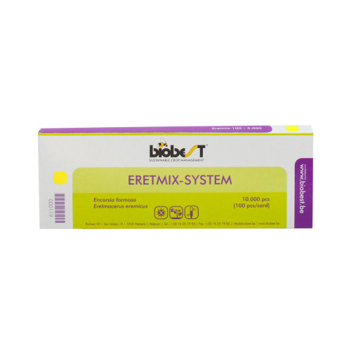 Encarsia formosa/Eretmocerus eremicus (Eretmix-Sys-10K) - On card: 100 pupae per card / 100 cards: 10,000 pupae