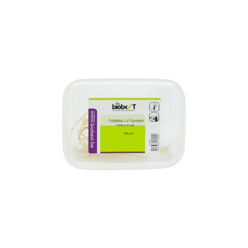 Feltiella acarisuga (Feltiella-Sys-250) - 240ml carton cup: 250 pupae / Carrier: Shredded paper