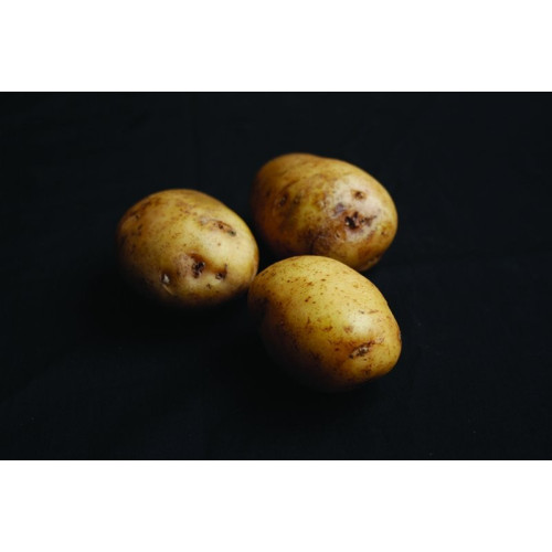 Foremost Seed Potato 2kg (First Earlies) - Pack of 10