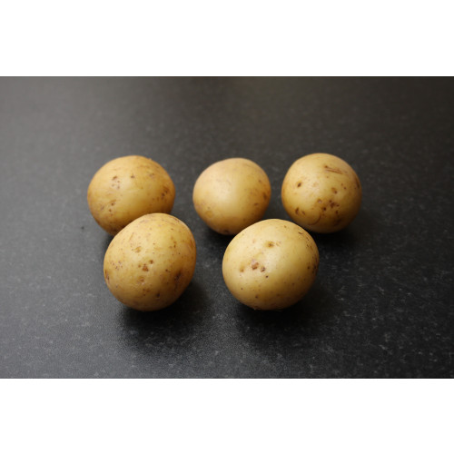 Gemson Seed Potato 20kg (Second Earlies)
