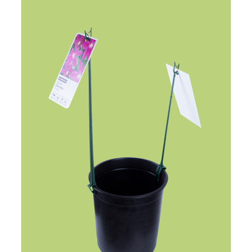 Info Sticks 28cm - Box of 2500