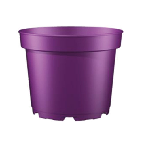 Teku Series MCI Containers 5Â° Trend Colours