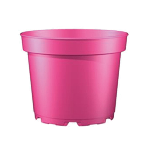 Teku Series MCI Container 19cm Z [3.0L] (Circular Trend-Pink) (4992/P,24x208/B) - Each