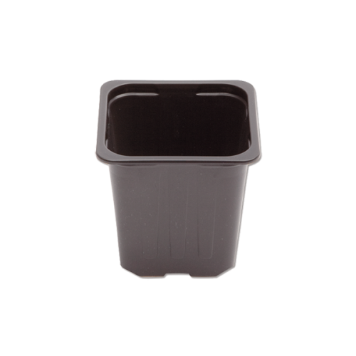 Modiform Square Pot 7x7x6.5cm 8 Hole (R&R Royal Grey) (86400/P,20x4464/B) - Each