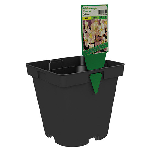 Teku Series MQE Square Round Pot 14x14x14cm [2.0L] (Black) (6600/P) - Each