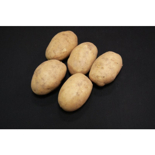 Maris Bard Seed Potato - First Earlies