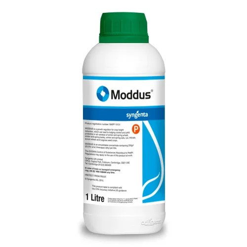 Moddus (MAPP 15151) [1L]