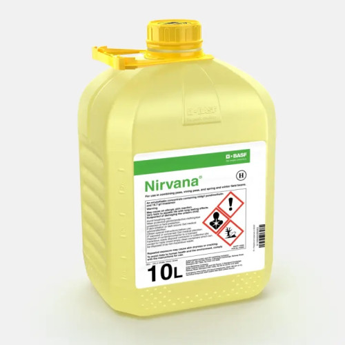 Nirvana (MAPP 14256) [10L]