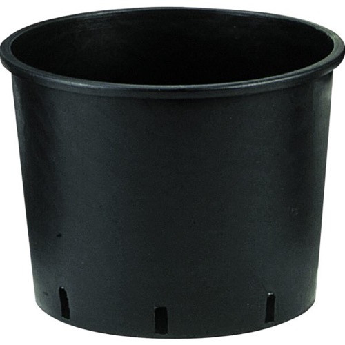 Serie Bassa Heavy Duty Container Squat [10L] (Black) - Net of 10