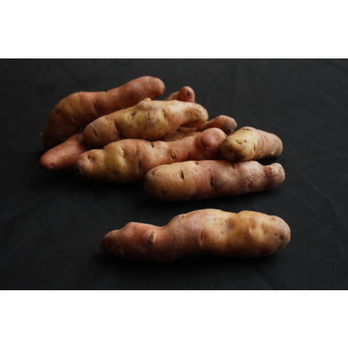 Pink Fir Apple Seed Potato 20kg (Maincrops)