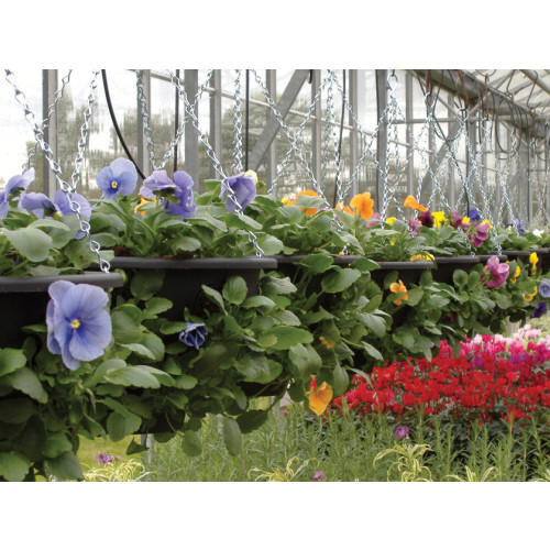 Hanging Basket Chain 4 Leg c/w Tog (Plantopia) (24/B) - Each