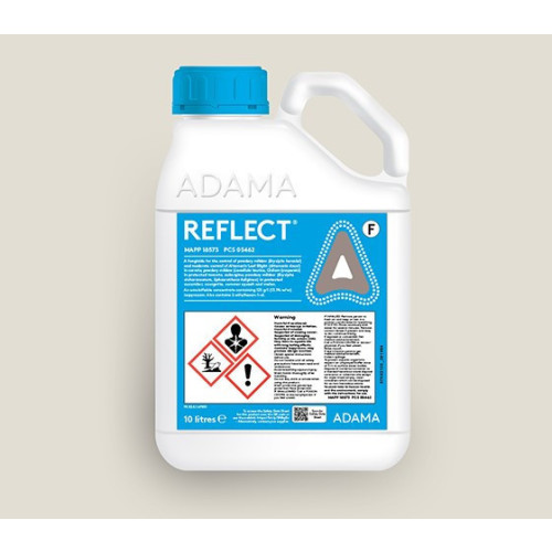 Reflect (MAPP 18573) [10L]