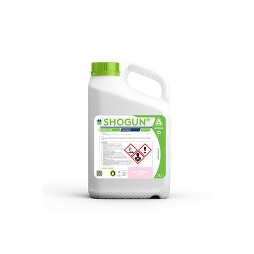 Shogun (MAPP 16527) [5L]